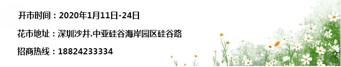 【活動(dòng)預(yù)告】迎新春！1月11日，讓我們相聚沙井最美花市！(圖2)
