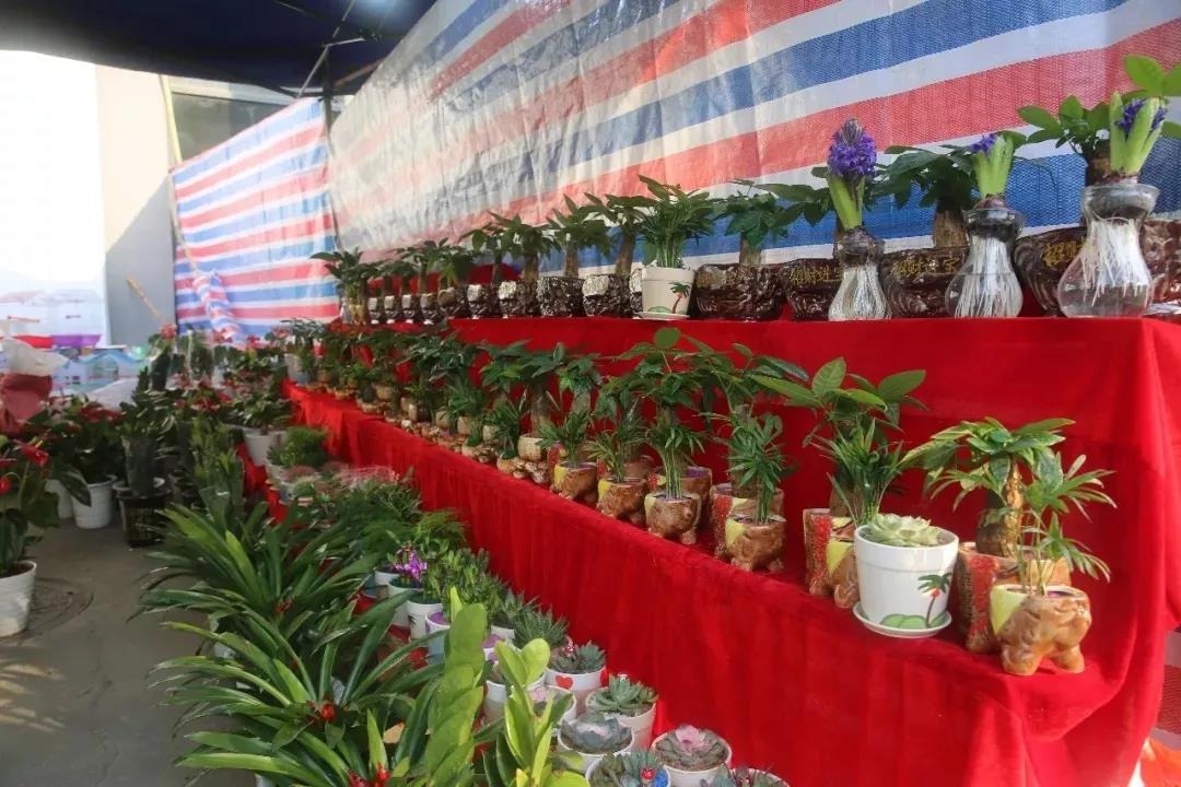 沙井街道迎花市，在中亞硅谷海岸舉行