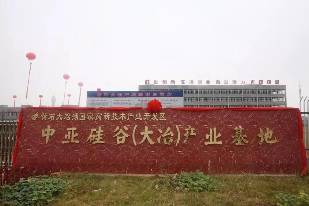 馳援湖北，中亞集團(tuán)向湖北大冶政府捐贈(zèng)防疫物資