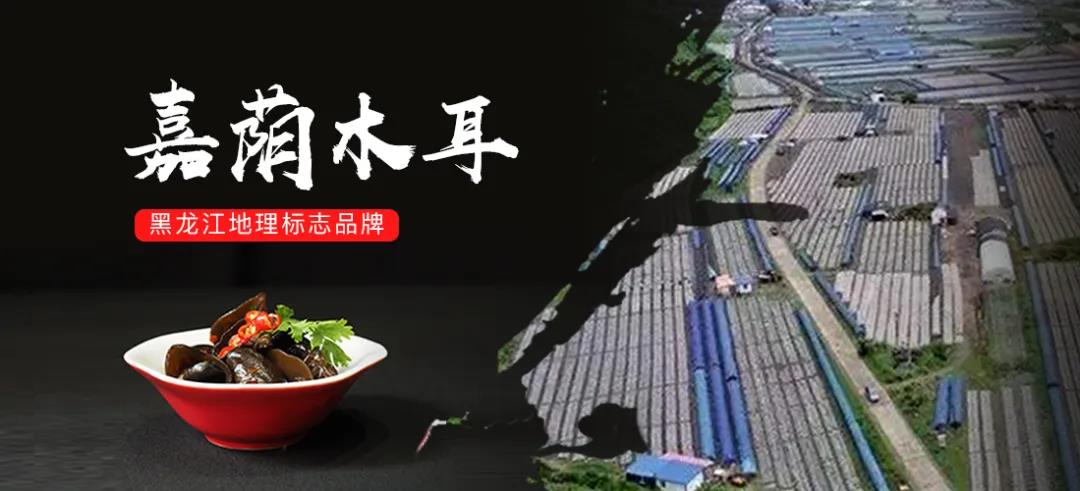 中亞千縣優(yōu)品新零售平臺，促進縣域農(nóng)業(yè)產(chǎn)業(yè)化發(fā)展