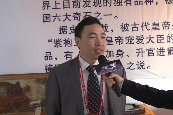 中亞硅谷海岸開業(yè)引起社會各界強烈關注(圖5)