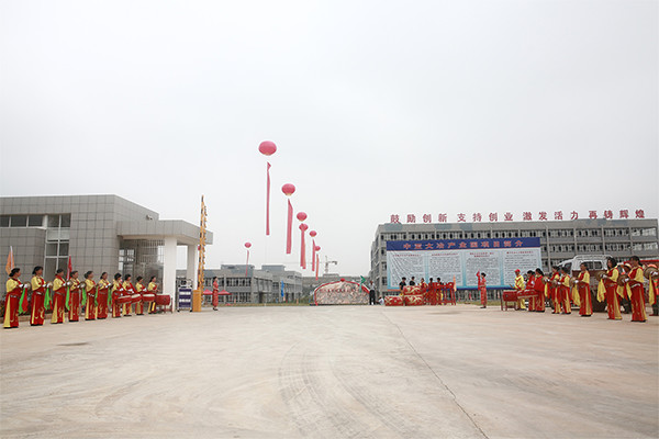 夢(mèng)想起航，中亞硅谷（大冶）產(chǎn)業(yè)基地盛典企業(yè)簽約暨駐園儀式隆重舉行(圖13)