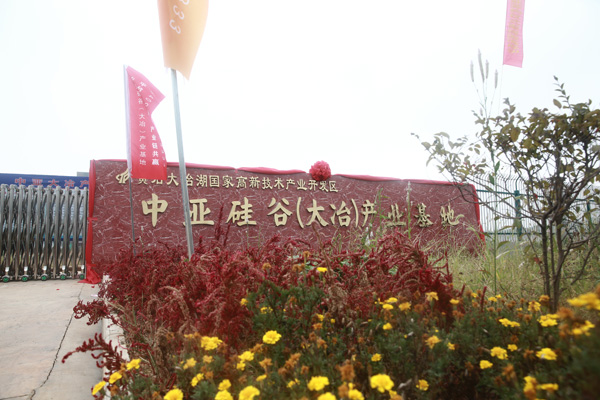 精彩集錦 | 帶您一覽中亞硅谷（大冶）產(chǎn)業(yè)基地盛典全過程！(圖34)