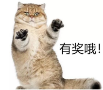 拍抖音，贏大獎！寶安沙井中亞硅谷抖音大賽報名火熱進行中！(圖7)